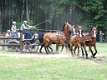 Riesenbeck 2008
