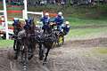 25: DSC_0094_w