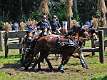 Riesenbeck 2014