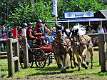 11: 90_DSC_0089_lores