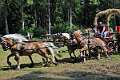 15: 90_DSC_0118_lores