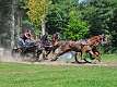 21: 90_DSC_0155_lores