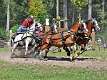 25: 90_DSC_0173_lores
