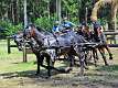 27: 90_DSC_0187_lores