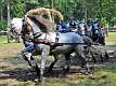 41: 90_DSC_0242_lores