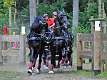 50: 90_DSC_0281_lores