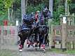 51: 90_DSC_0282_lores