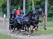 52: 90_DSC_0284_lores