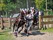 58: 90_DSC_0302_lores