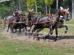 60: 90_DSC_0306_lores