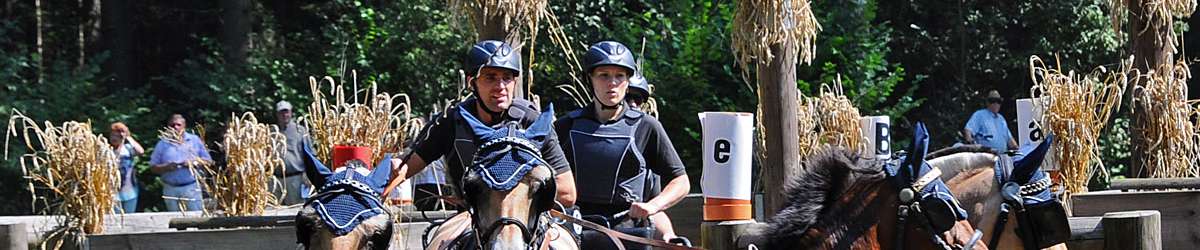Riesenbeck 2014