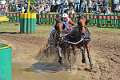 14: 1DSC_3441_w
