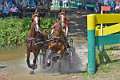 16: 1DSC_3446_w