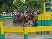 18: 1DSC_3451_w