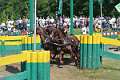 29: 1DSC_3488_w