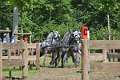 35: 1DSC_3512_w