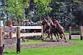 14: 1DSC_0039_w