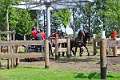 16: 1DSC_0043_w