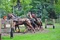18: 1DSC_0051_w