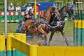 5: 1DSC_3416_w