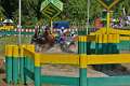 12: 1DSC_3432_w