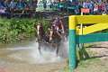 15: 1DSC_3443_w