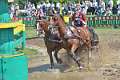 19: 1DSC_3455_w