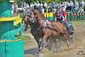 20: 1DSC_3456_w