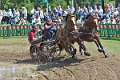 23: 1DSC_3471_w