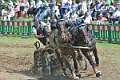 25: 1DSC_3477_w