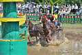 30: 1DSC_3492_w