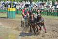 32: 1DSC_3500_w