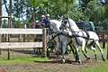 36: 1DSC_3517_w