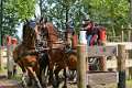 40: 1DSC_3541_w