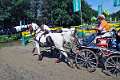 11: 1DSC_0031_w