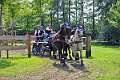 12: 1DSC_0033_w
