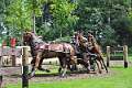 15: 1DSC_0041_w