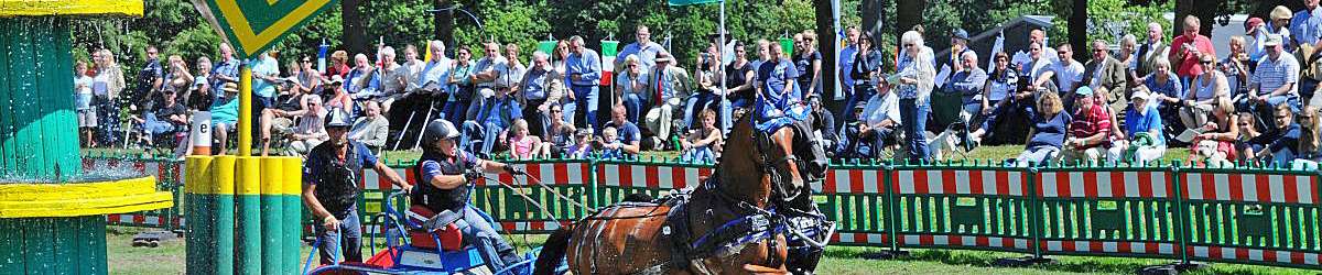 Riesenbeck_2015