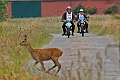 5: 000DSC_8058_1920